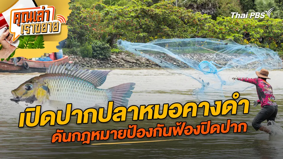 คุณเล่า เราขยาย