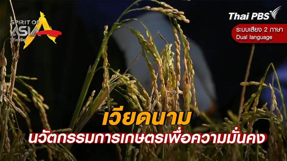 เวียดนาม นวัตกรรมการเกษตรเพื่อความมั่นคง 