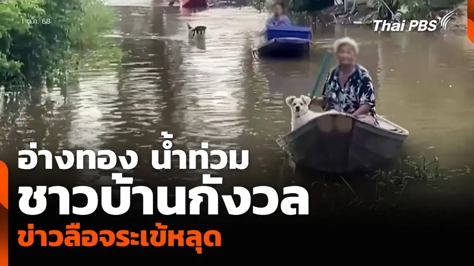 อ่างทอง น้ำท่วม ชาวบ้านกังวลข่าวลือจระเข้หลุด