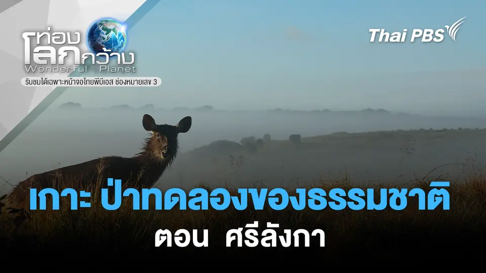 ท่องโลกกว้าง