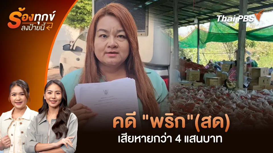 คดี "พริก"(สด) เสียหายกว่า 4 แสนบาท