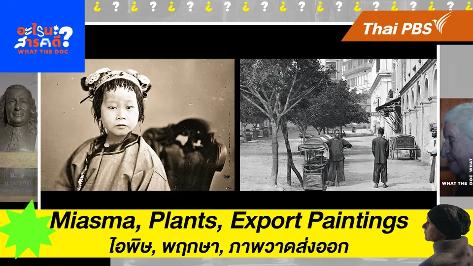 Miasma, Plants, Export Paintings  ไอพิษ, พฤกษา, ภาพวาดส่งออก