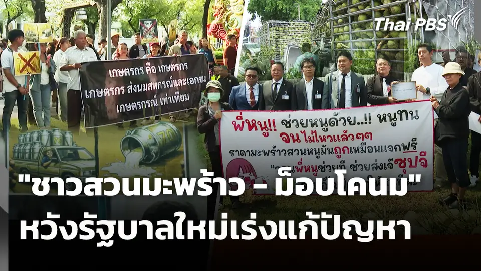 "ชาวสวนมะพร้าว - ม็อบโคนม" หวังรัฐบาลใหม่เร่งแก้ปัญหา