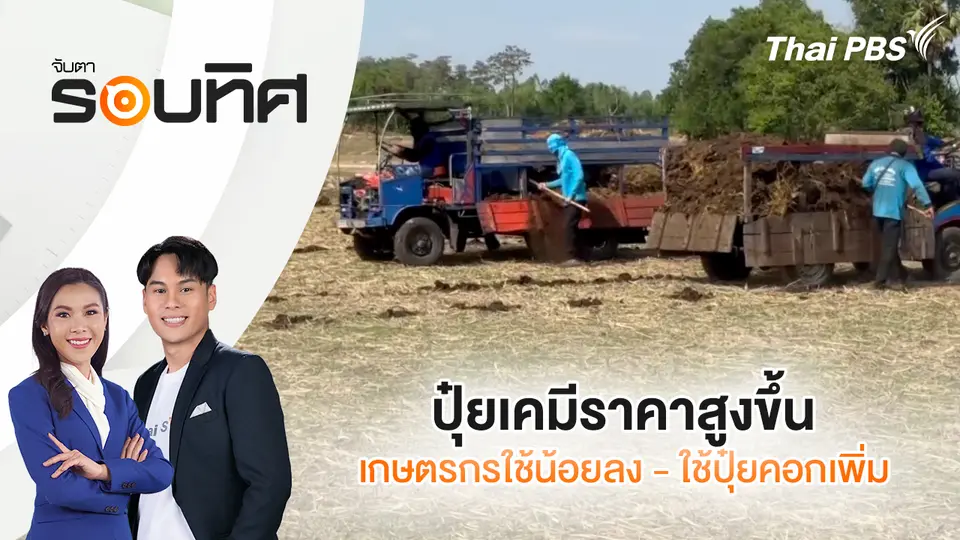 ปุ๋ยเคมีราคาสูงขึ้น เกษตรกรใช้น้อยลง - ใช้ปุ๋ยคอกเพิ่ม | จับตารอบทิศ | 24 มี.ค. 69
