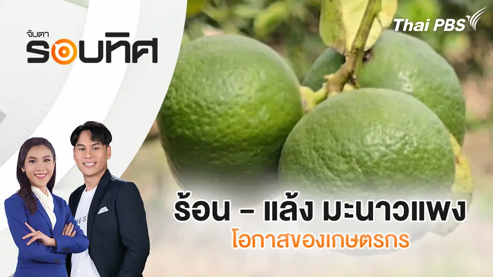 จับตารอบทิศ