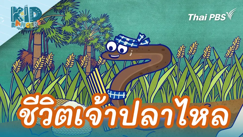 ชีวิตเจ้าปลาไหล