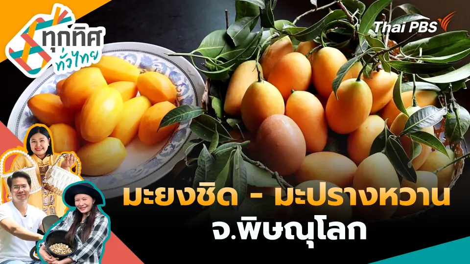 ทุกทิศทั่วไทย