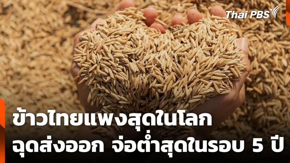 ข้าวไทยแพงสุดในโลก ฉุดส่งออก จ่อต่ำสุดในรอบ 5 ปี
