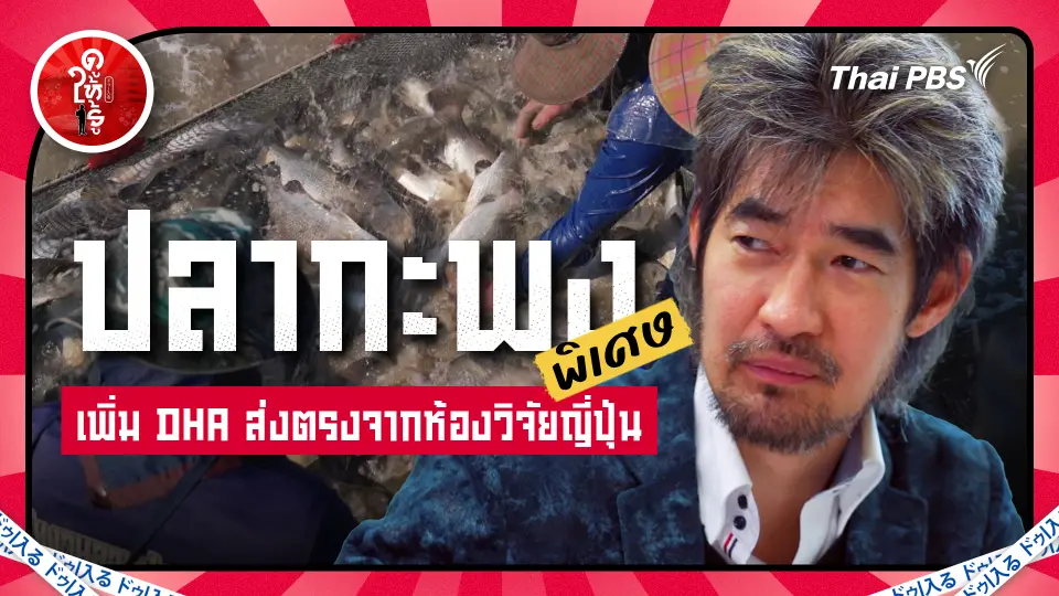 ปลากะพงพิเศษเพิ่ม DHA ส่งตรงจากห้องวิจัยญี่ปุ่น