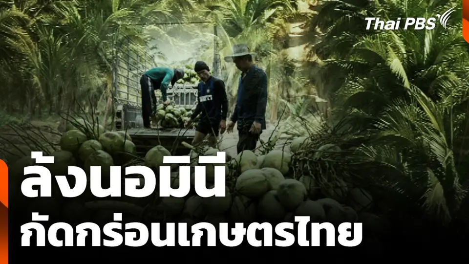ล้งนอมินี กัดกร่อนเกษตรไทย