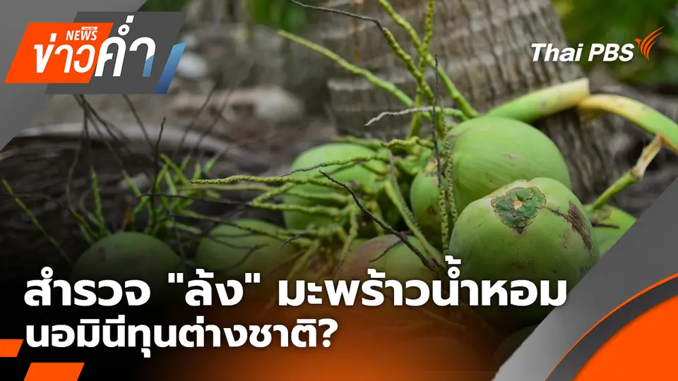 สำรวจ "ล้ง" มะพร้าวน้ำหอม นอมินีทุนต่างชาติ? | 27 ก.พ. 69