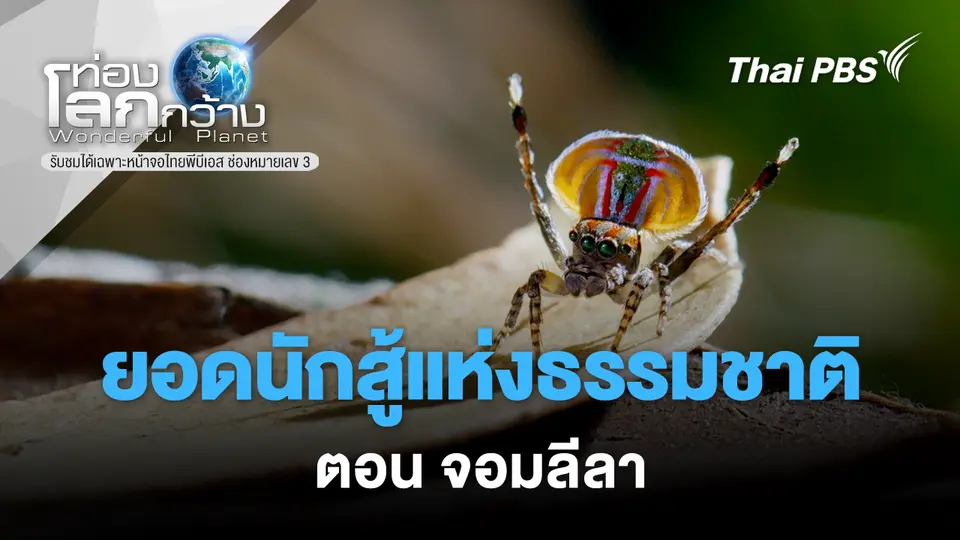 ท่องโลกกว้าง