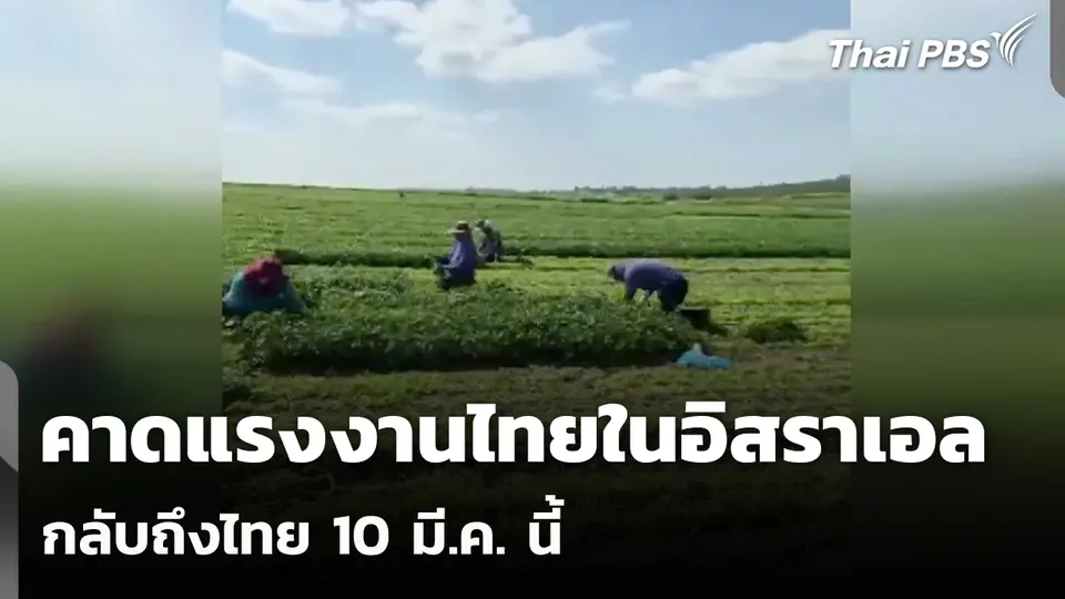 คาดแรงงานไทยในอิสราเอลกลับถึงไทย 10 มี.ค. นี้