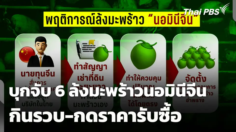 บุกจับ 6 ล้งมะพร้าว "นอมินีจีน" กินรวบ-กดราคารับซื้อ