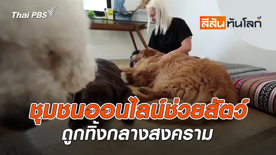 สีสันทันโลก
