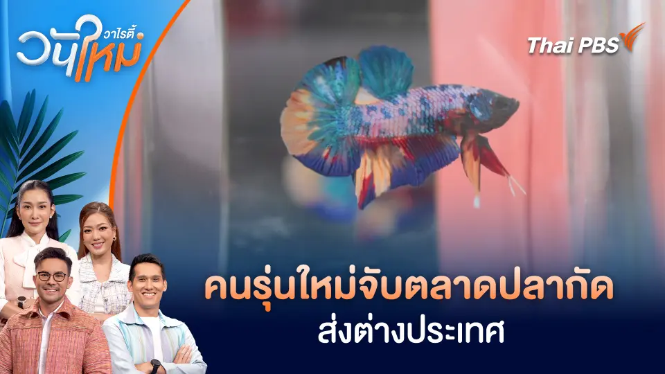 วันใหม่วาไรตี้