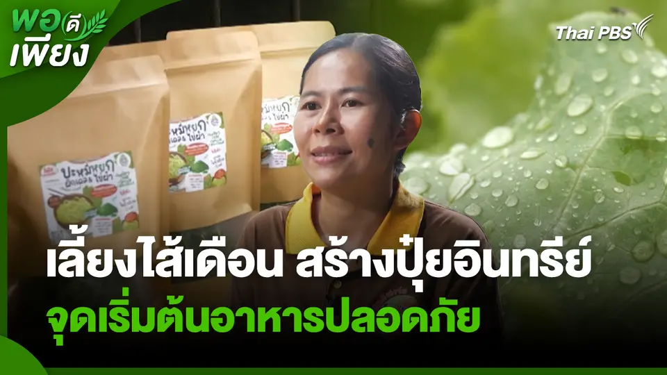 พอดีพอเพียง : เลี้ยงไส้เดือน สร้างปุ๋ยอินทรีย์ จุดเริ่มต้นอาหารปลอดภัย