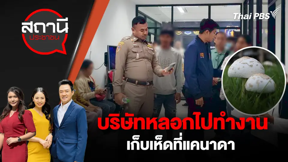 บริษัทหลอกไปทำงานเก็บเห็ดที่แคนาดา