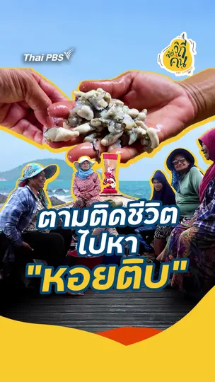 ตามติดชีวิต ไปหา "หอยติบ"