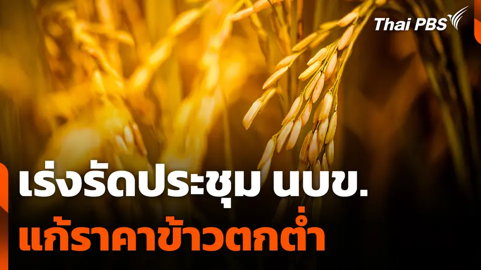 เร่งรัดประชุม นบข. แก้ปัญหาราคาข้าวตกต่ำ