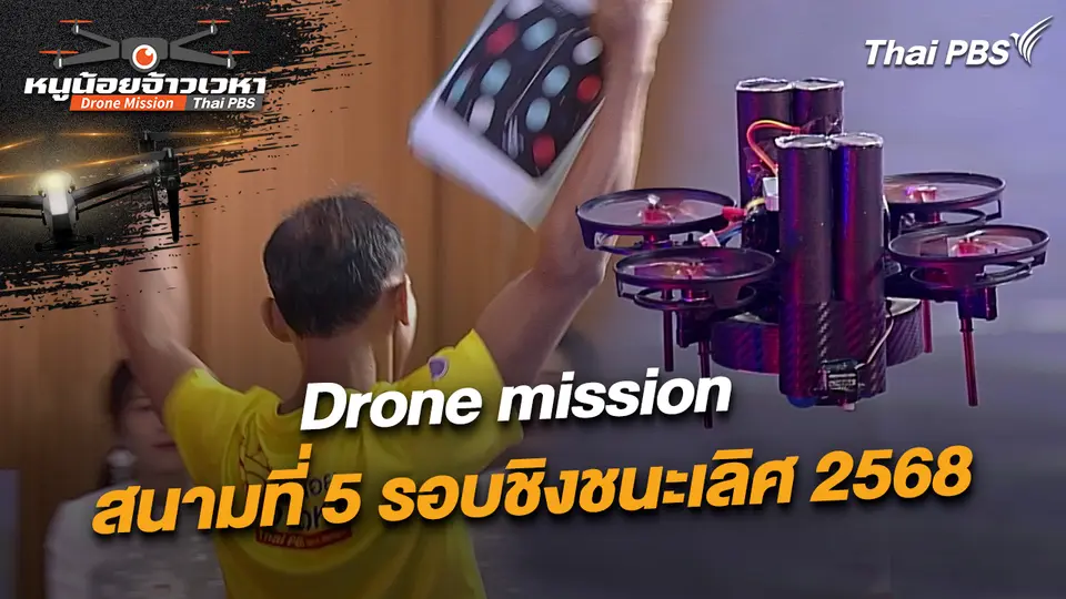 หนูน้อยจ้าวเวหา