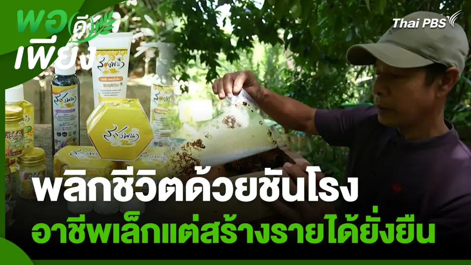 พลิกชีวิตด้วยชันโรง อาชีพเล็กแต่สร้างรายได้ยั่งยืน