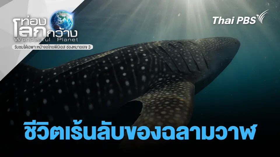 ท่องโลกกว้าง