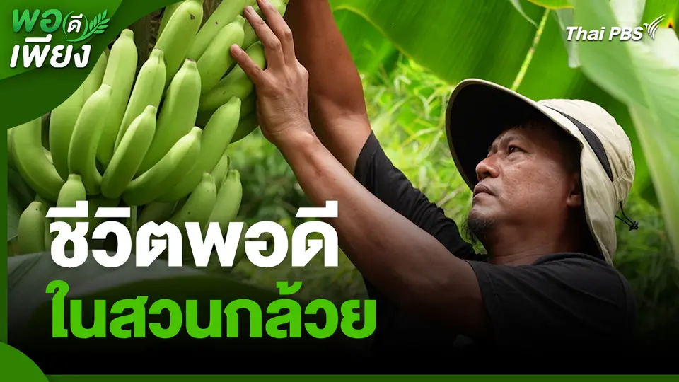 พอดีพอเพียง : ชีวิตพอดีในสวนกล้วย