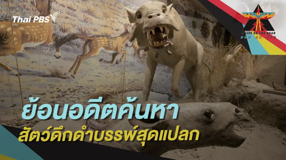 A Life on the Road  ถนน คน ชีวิต