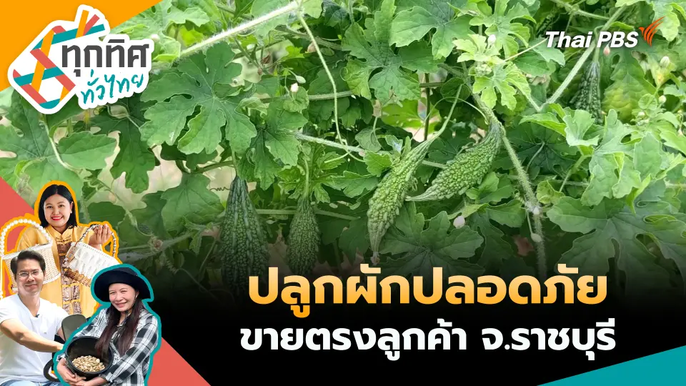 ทุกทิศทั่วไทย