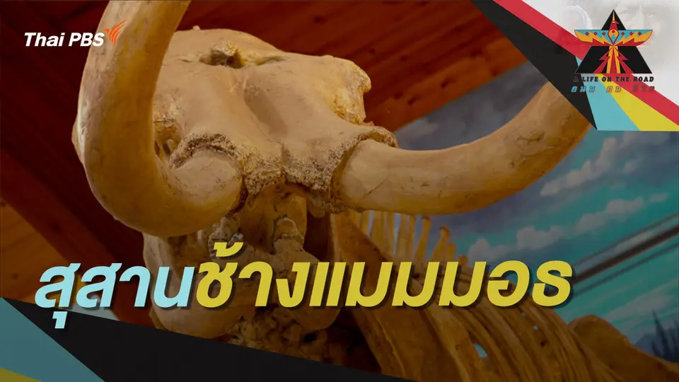 A Life on the Road  ถนน คน ชีวิต