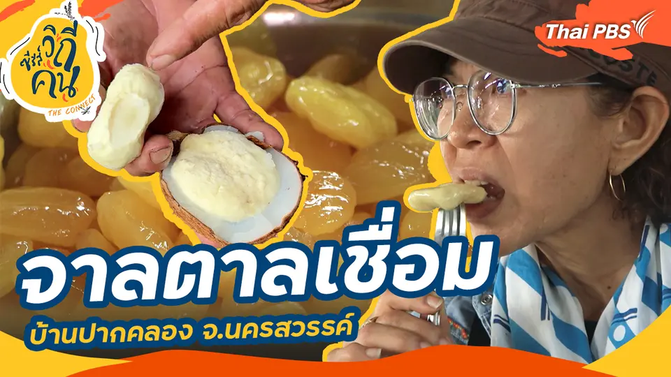 ช็อตเด็ด ซีรีส์วิถีคน : จาลตาลเชื่อมบ้านปากคลอง จ.นครสวรรค์