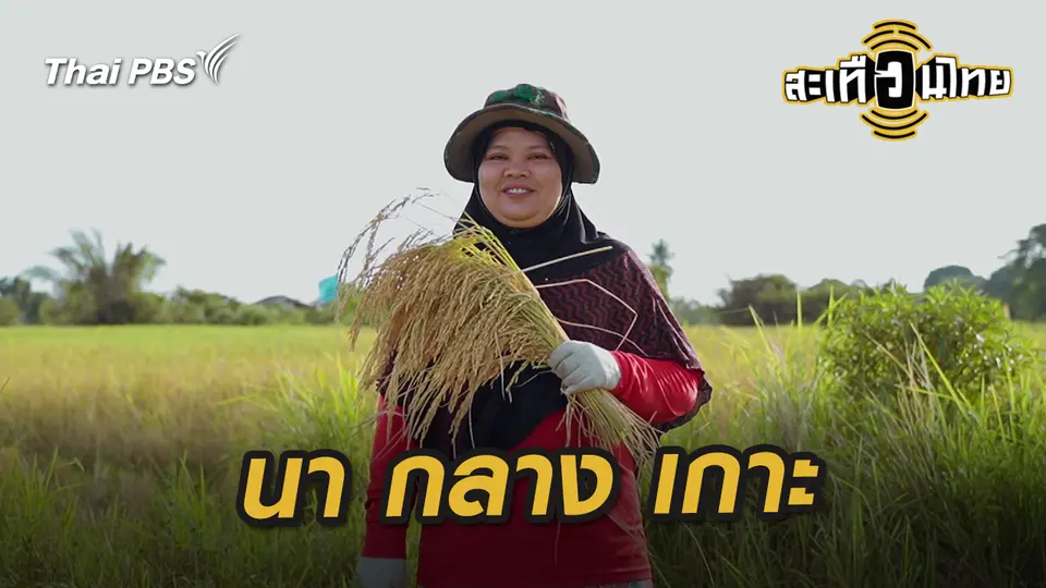สะเทือนไทย