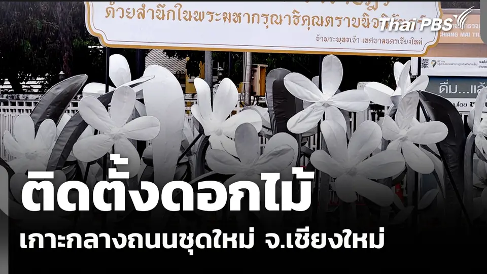 ติดตั้งดอกไม้เกาะกลางถนนชุดใหม่ จ.เชียงใหม่ 