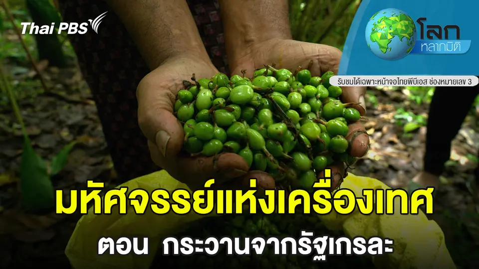 โลกหลากมิติ