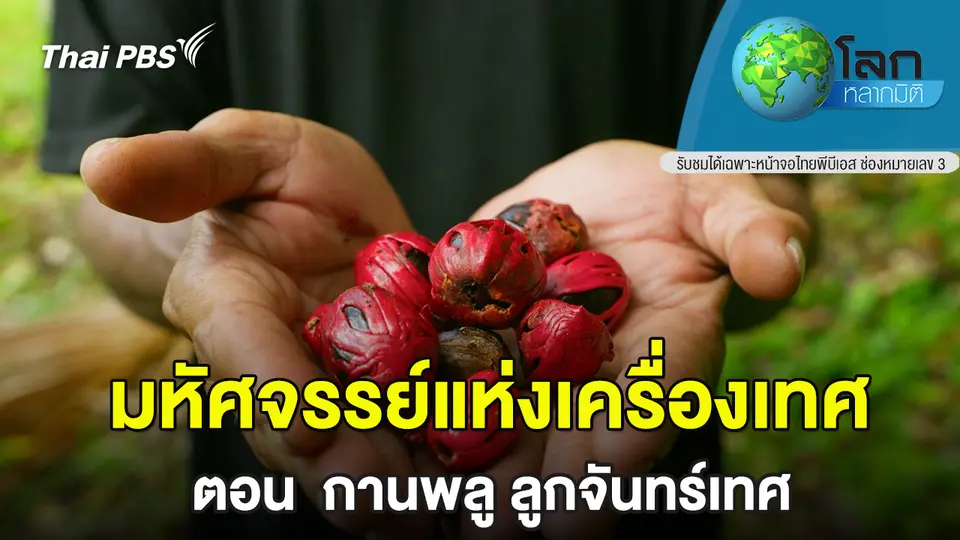โลกหลากมิติ
