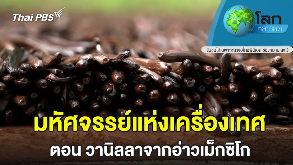 โลกหลากมิติ