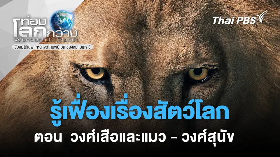 ท่องโลกกว้าง
