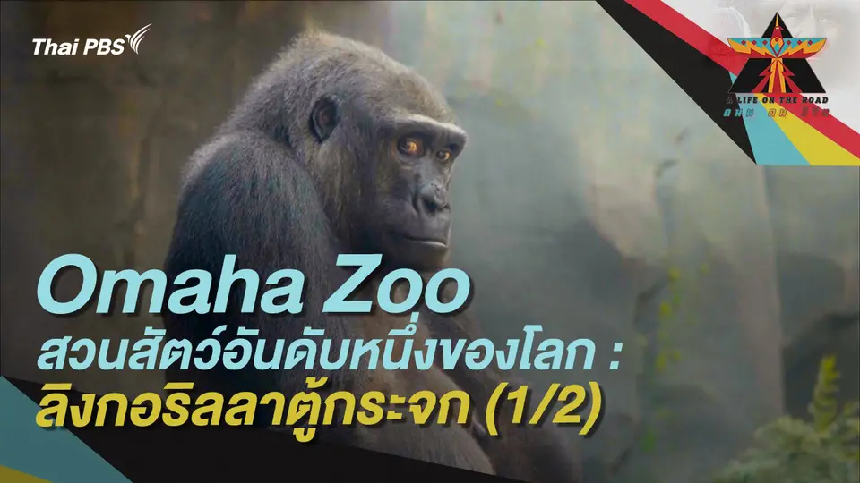 A Life on the Road  ถนน คน ชีวิต