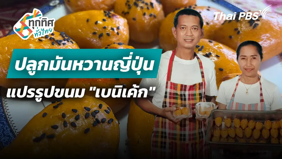 ปลูกมันหวานญี่ปุ่นแปรรูปขนม "เบนิเค้ก"