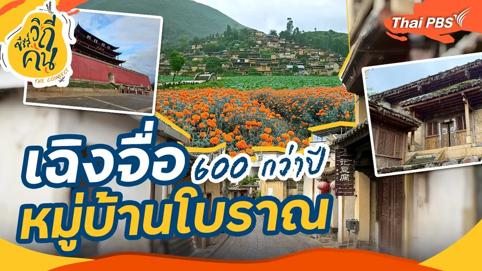 เฉิงจื่อ หมู่บ้านโบราณ 600 กว่าปี
