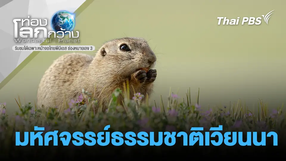 ท่องโลกกว้าง