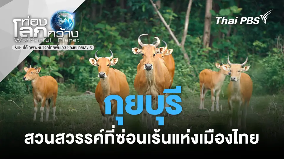 ท่องโลกกว้าง