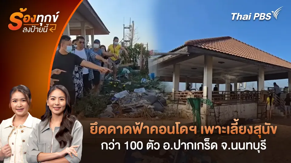 ยึดดาดฟ้าคอนโดฯ เพาะเลี้ยงสุนัขกว่า 100 ตัว อ.ปากเกร็ด จ.นนทบุรี