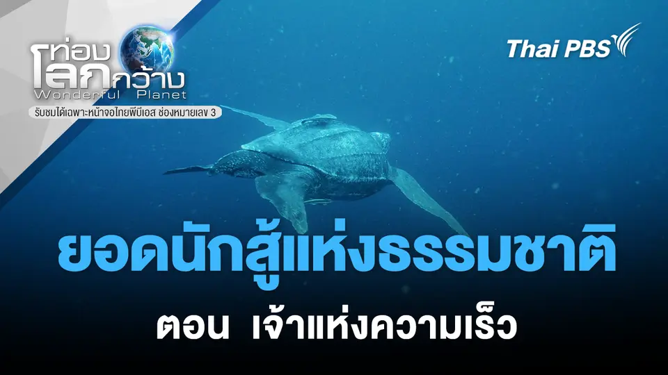 ท่องโลกกว้าง