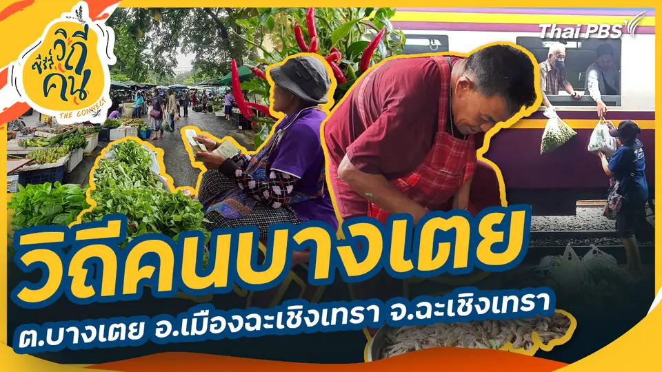 วิถีคนบางเตย ต.บางเตย อ.เมืองฉะเชิงเทรา จ.ฉะเชิงเทรา
