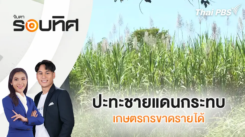 จับตารอบทิศ