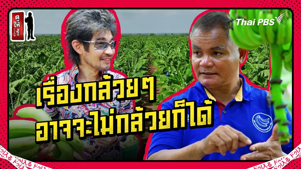 ส่งออกกล้วยไทยไปญี่ปุ่น ทำวันนี้รวยวันนี้