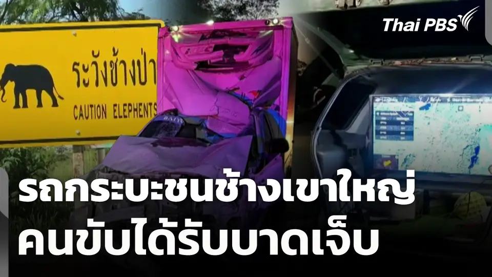 รถกระบะชนช้างเขาใหญ่ คนขับได้รับบาดเจ็บ