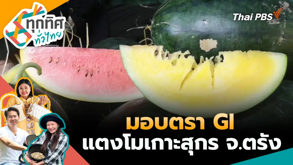 ทุกทิศทั่วไทย